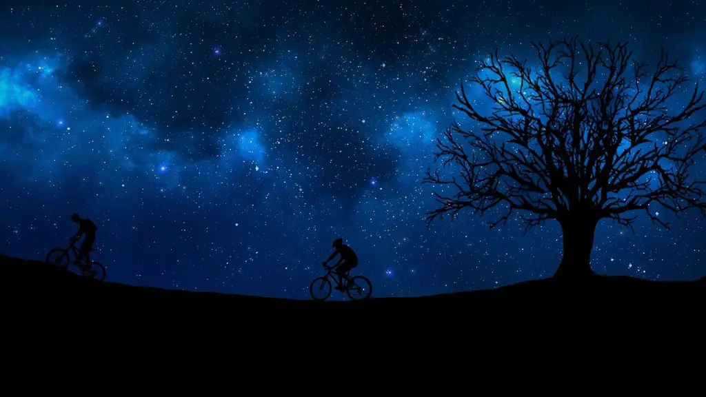 Mountain Biking Night Ride | Mountain Bicycle Lab