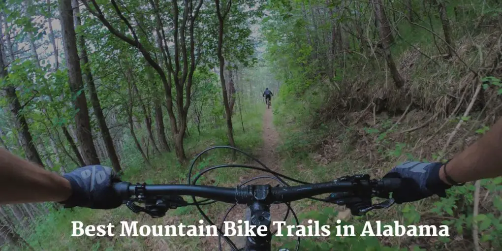 Best Mountain Bike Trails in Alabama