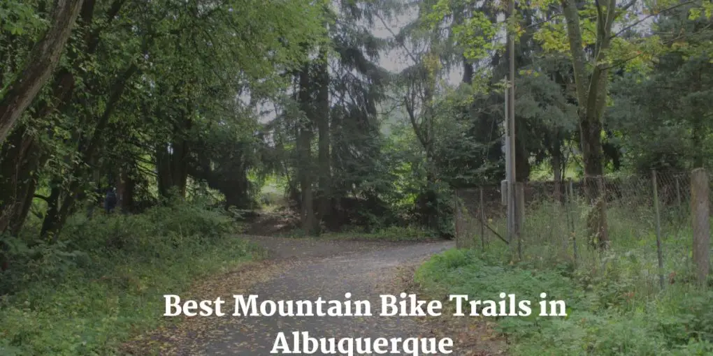 Best Mountain Bike Trails in Albuquerque