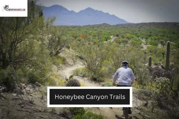Honeybee Canyon Trails