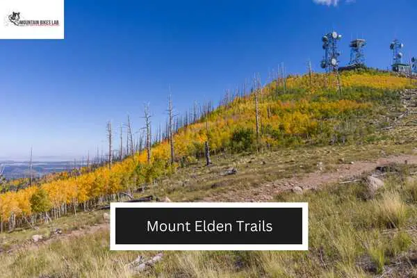 Mount Elden Trails