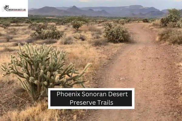 Phoenix Sonoran Desert Preserve Trails