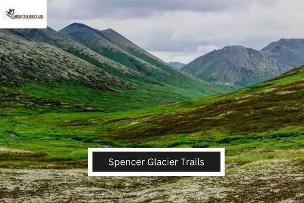 Spencer Glacier Trails